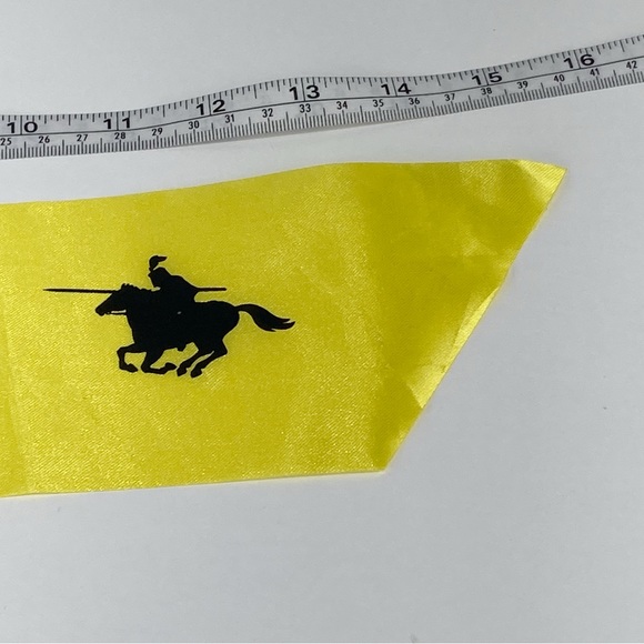 Lot of LANYARD pass VIP ROYALTY Medieval times pass and Medieval times Flag - Picture 13 of 17